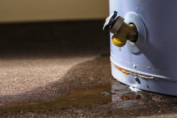 Best Water damage restoration experts  in Vega, TX