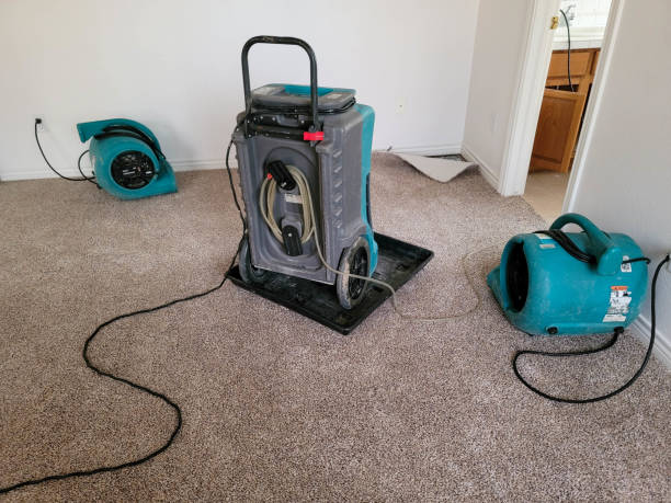 Best Ceiling water damage repair  in Vega, TX