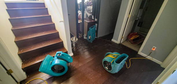 Best 24-hour water damage restoration  in Vega, TX