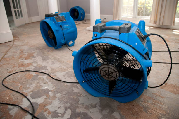 Carpet water damage restoration in TX