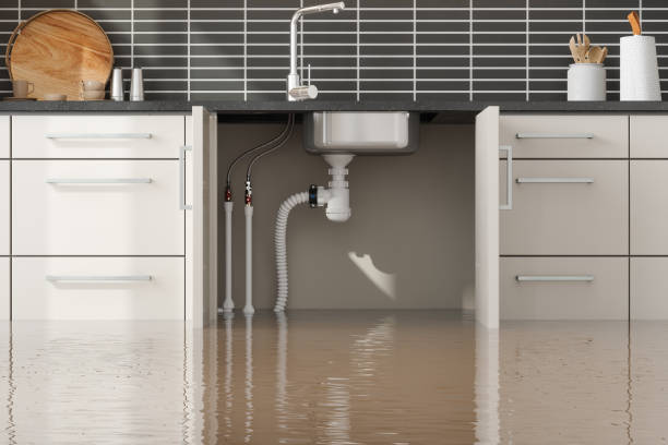 Best Local water damage restoration  in Vega, TX