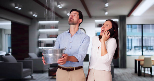 Best Water damage cleanup near me  in Vega, TX