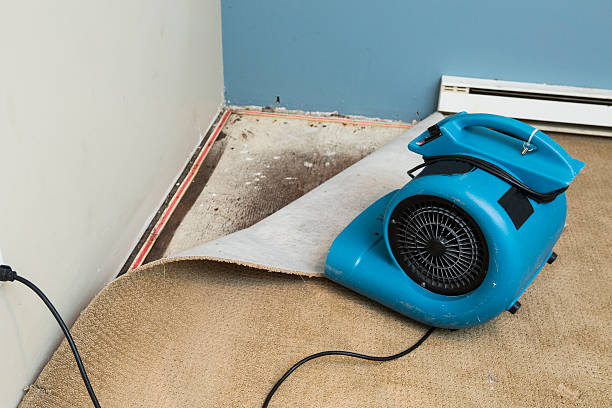 , TX Water damage restoration Company